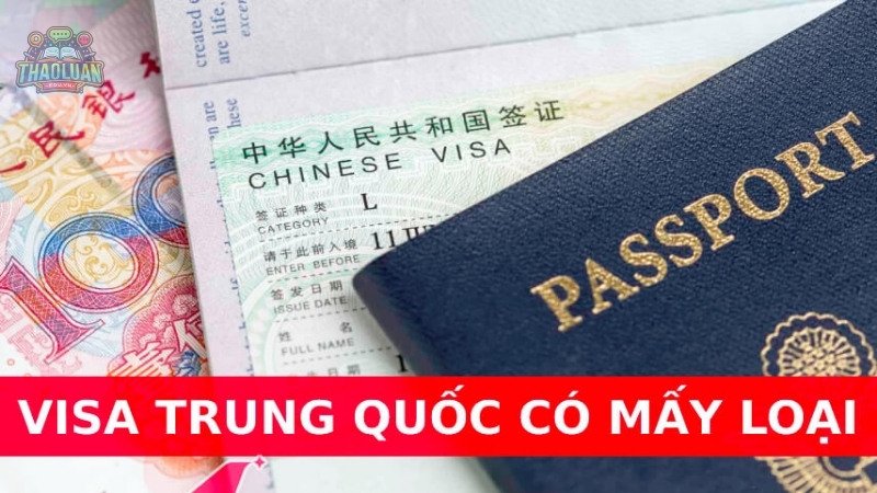 Loại visa du lịch Trung Quốc 1