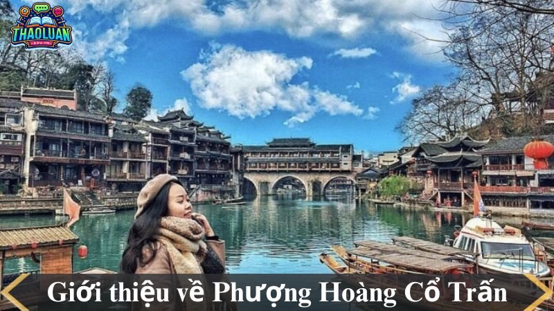 du-lich-phuong-hoang-co-tran-1