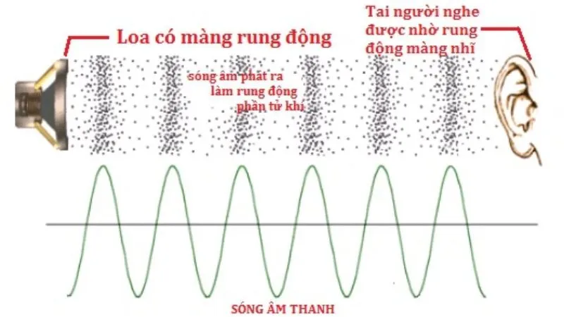 Âm thanh là gì? 