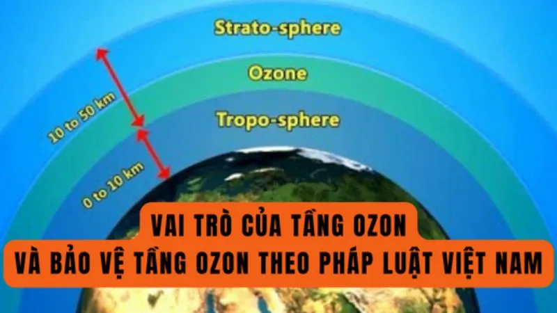 Vai trò của tầng ozon 2