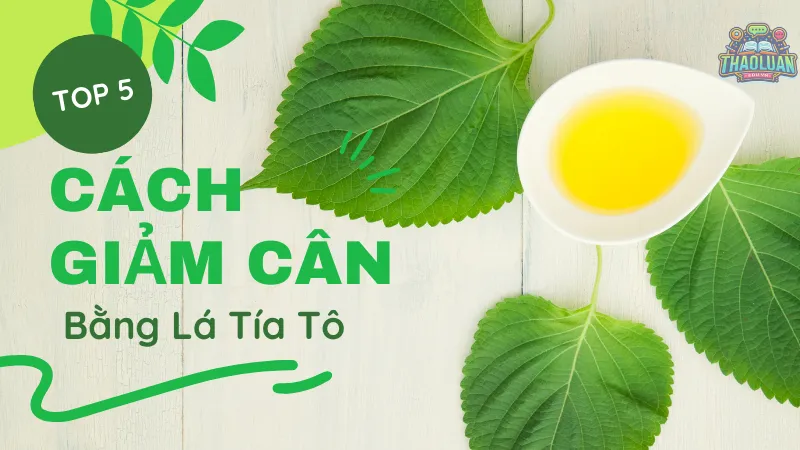 5 cách giảm cân bằng lá tía tô