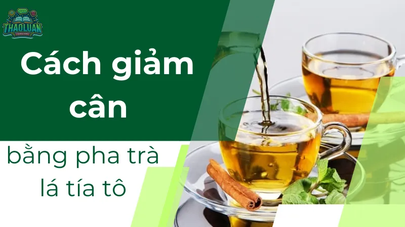 Cách giảm cân bằng pha trà lá tía tô