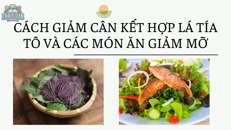 Cách giảm cân kết hợp lá tía tô và các món ăn giảm mỡ