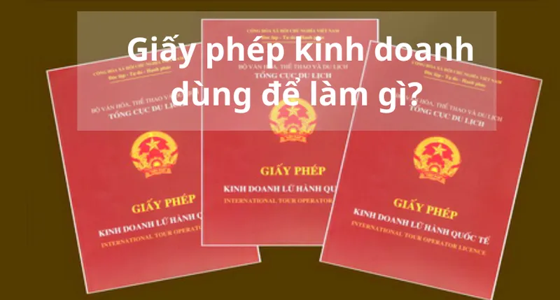 tra cứu giấy phép kinh doanh 7