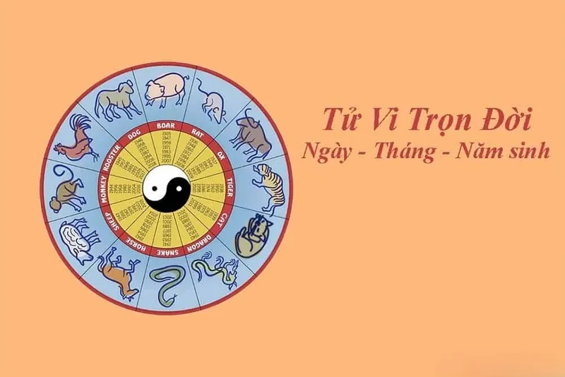 tra cứu lá số tử vi 6