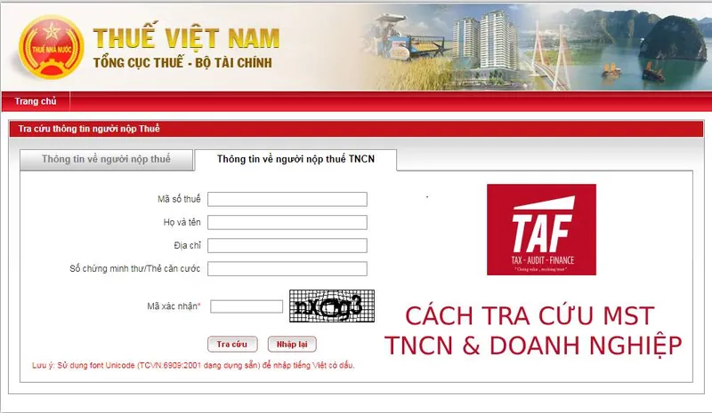 tra cứu người nộp thuế 6