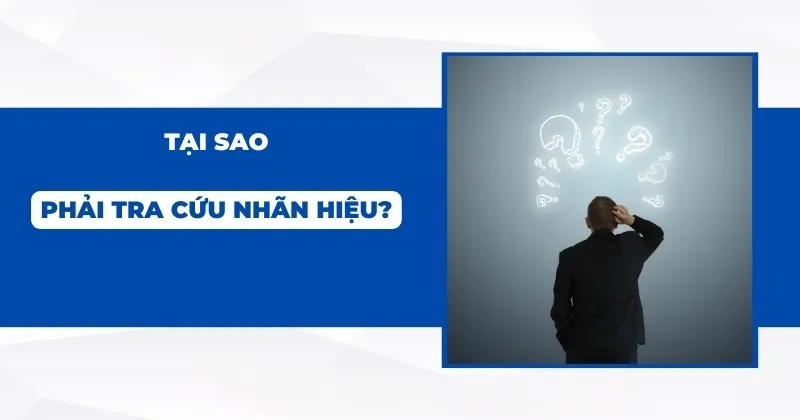 tra cứu nhãn hiệu 5