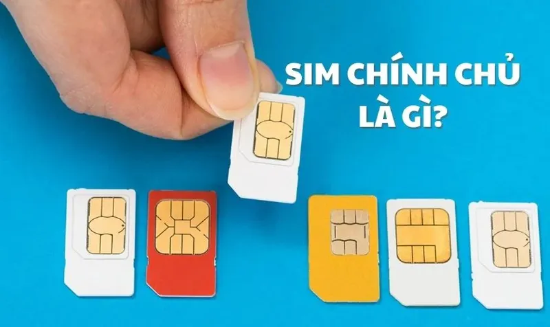 tra cứu sim chính chủ 2