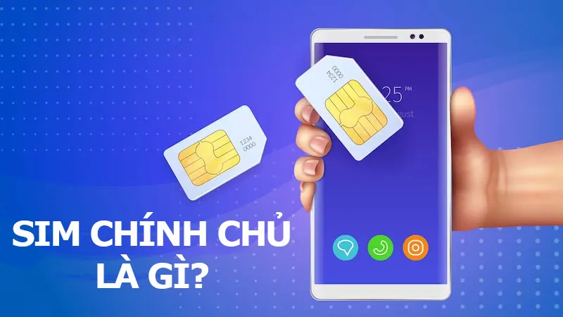 tra cứu sim chính chủ 3