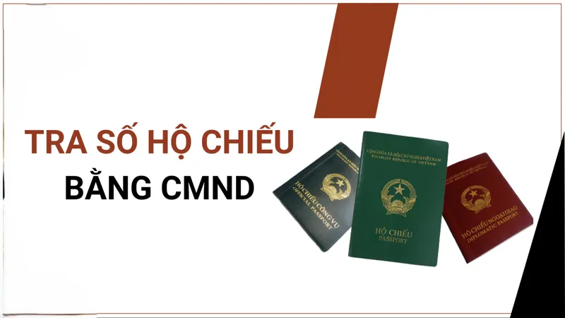 tra cứu số hộ chiếu 6