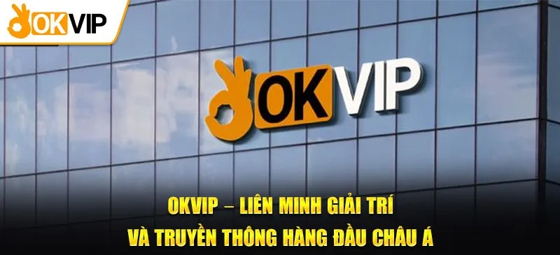 Liên Minh okvip Hoạt Động Trong Những Lĩnh Vực Nào?